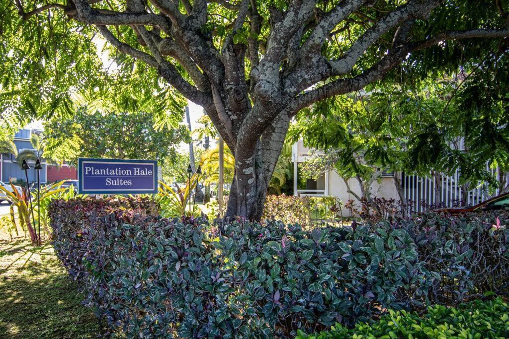 Lovely 1 Bedroom With Kitchen, Free Wifi & Parking Kapa'a Eksteriør bilde