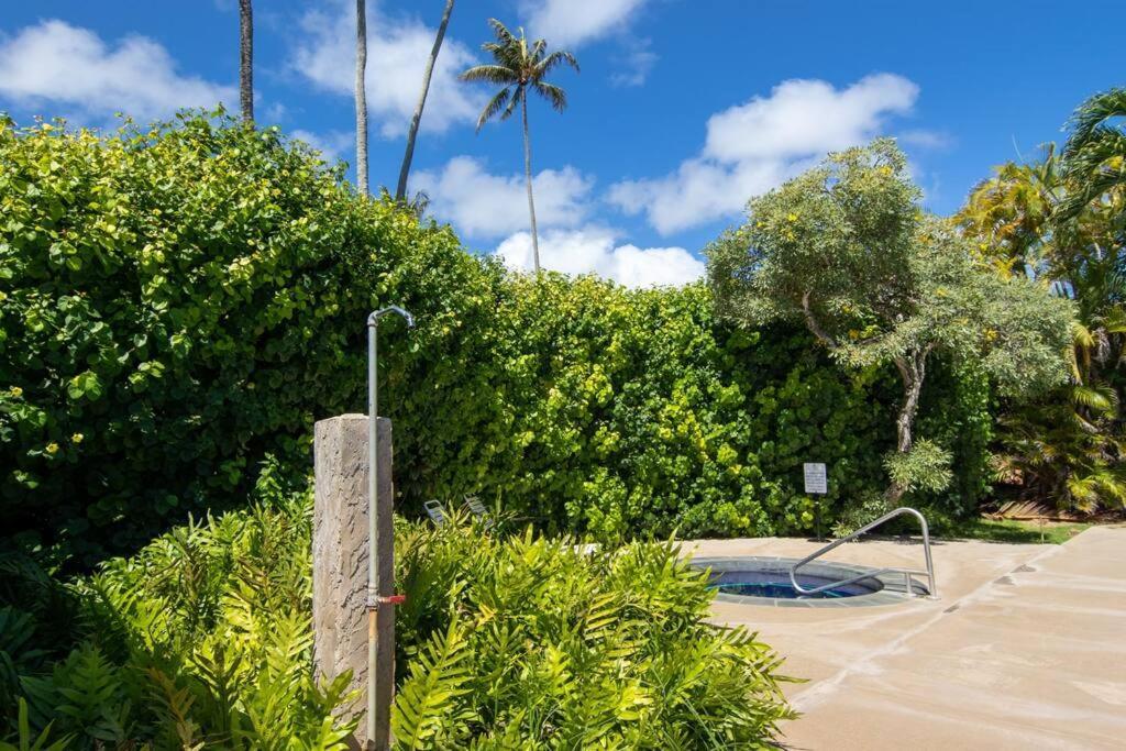 Lovely 1 Bedroom With Kitchen, Free Wifi & Parking Kapa'a Eksteriør bilde